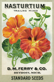 Puriri Lane | Cavallini & Co | Garden Variety | Glitter Postcards