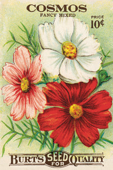 Puriri Lane | Cavallini & Co | Garden Variety | Glitter Postcards