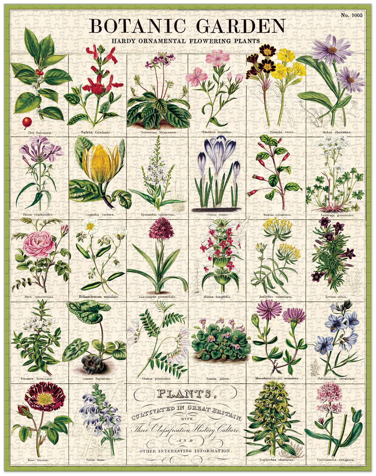 Puriri Lane | Botanic Garden | Vintage 1000 Piece Puzzle | Cavallini & Co