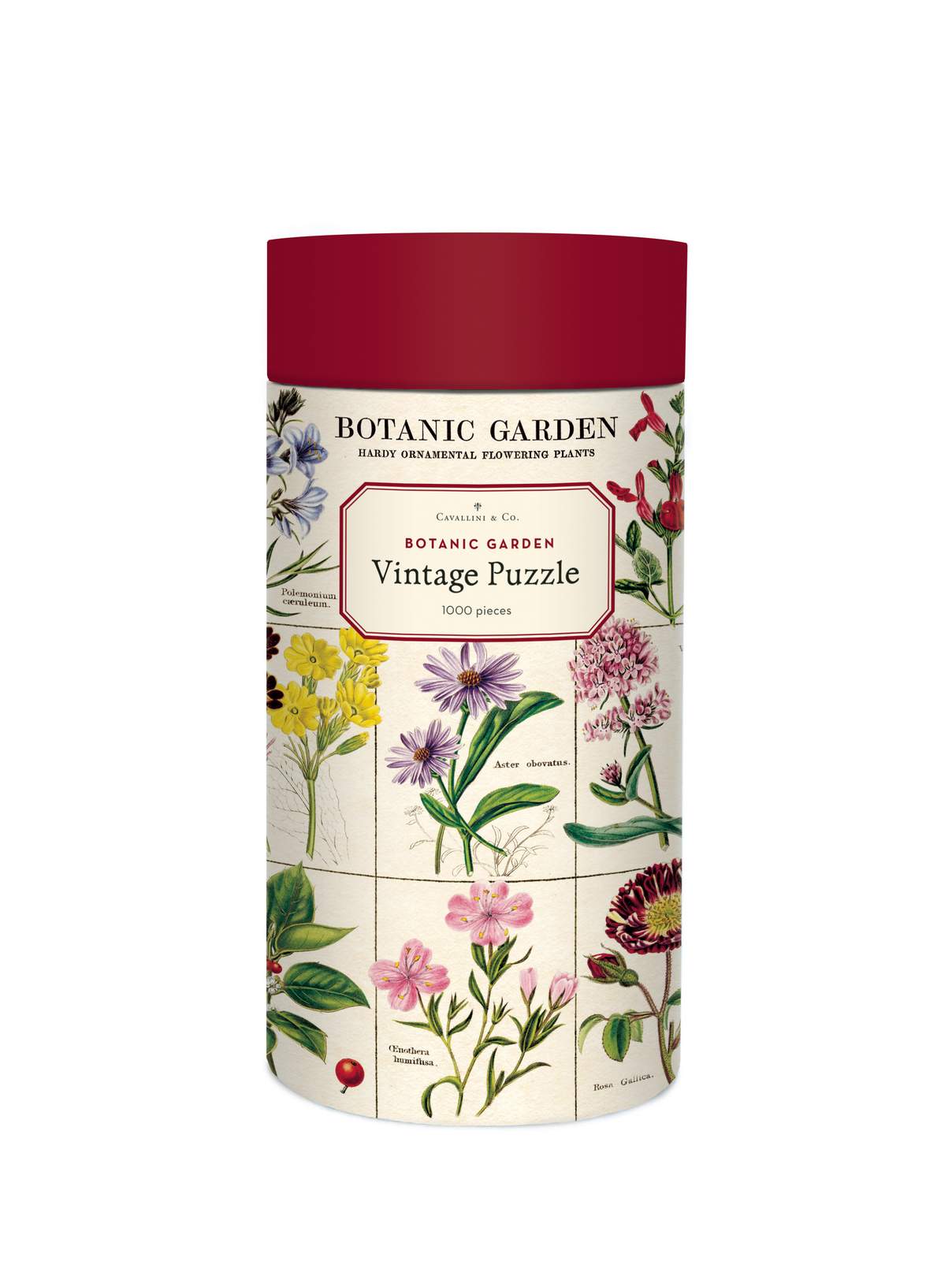 Puriri Lane | Botanic Garden | Vintage 1000 Piece Puzzle | Cavallini & Co