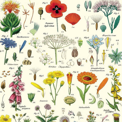 Puriri Lane | Wildflower Wrap | Cavallini & Co.