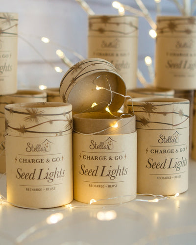 Puriri Lane | Seed Lights | Charge & Go