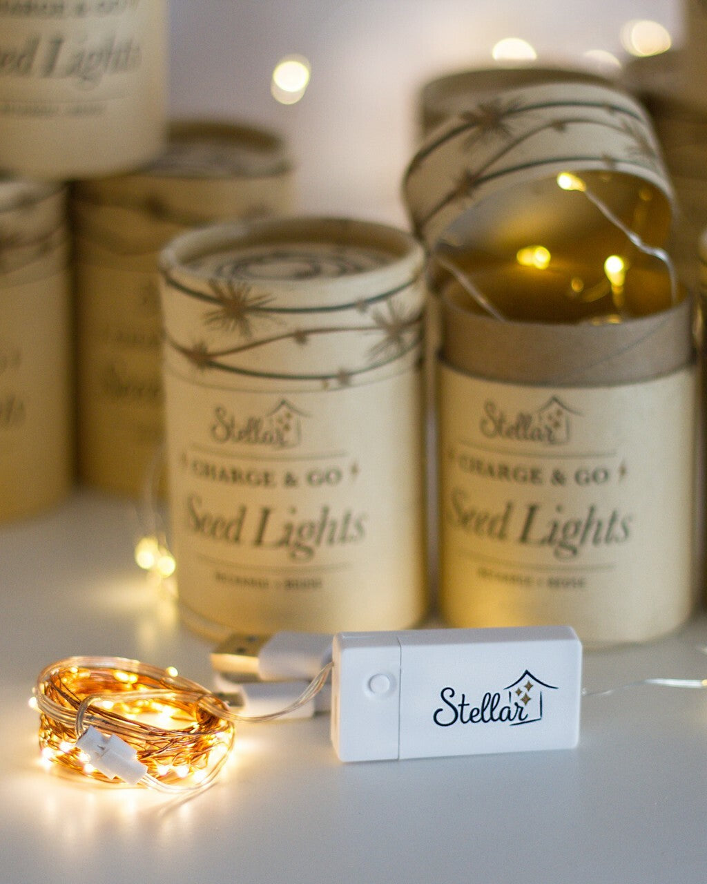 Puriri Lane | Seed Lights | Charge & Go