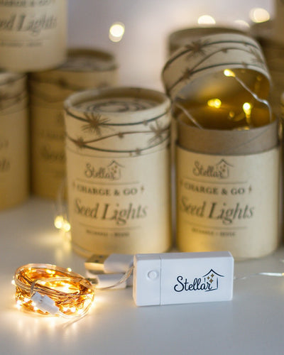 Puriri Lane | Seed Lights | Charge & Go