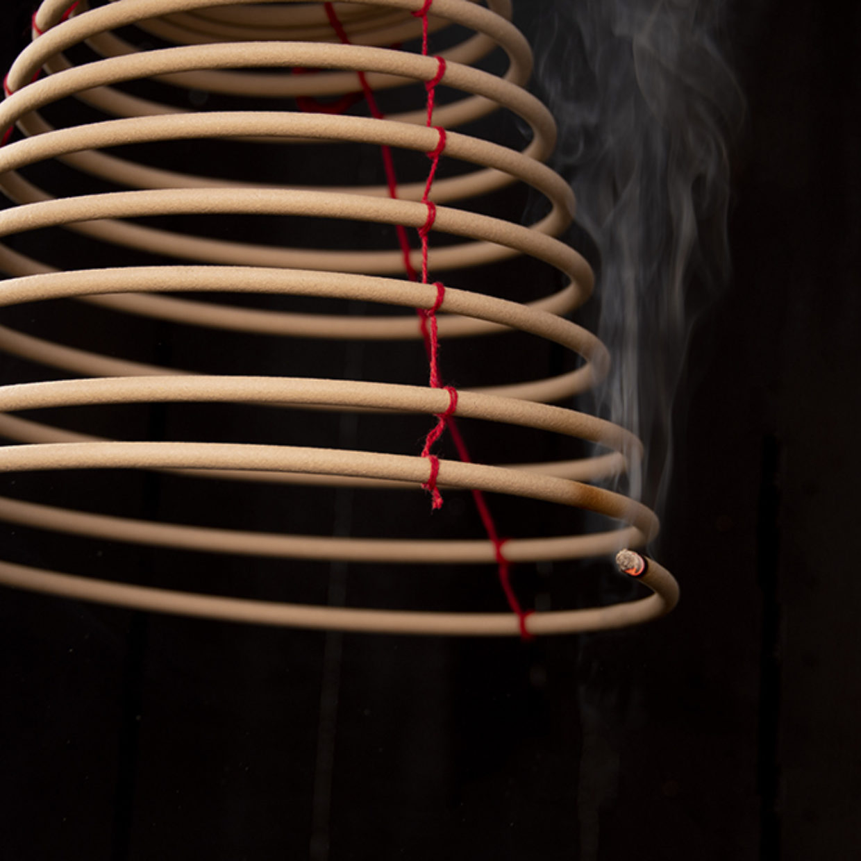 Puriri Lane | Citronella | Hanging Coil