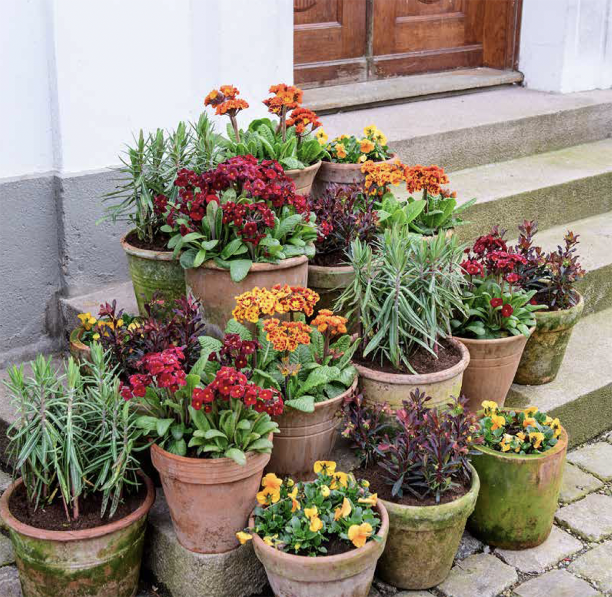 Puriri Lane | Containers In The Garden | Claus Dalby