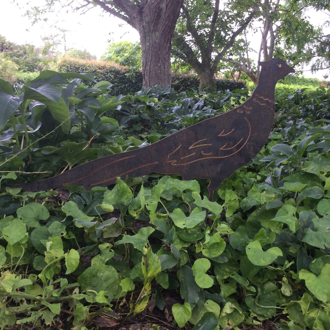 Puriri Lane | Mr Pheasant | Corten Steel