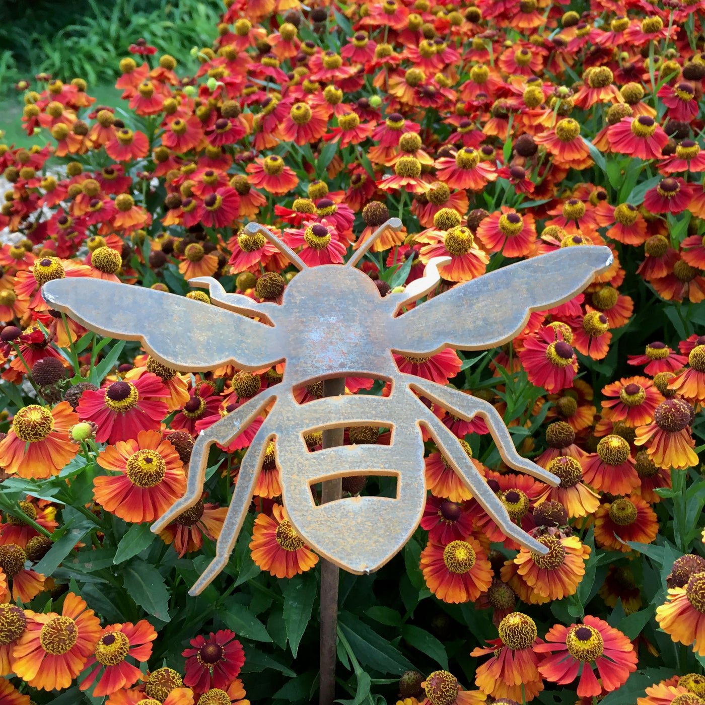 Puriri Lane | Bee | Corten Steel