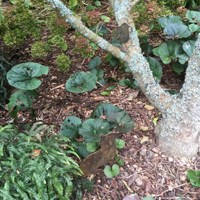 Puriri Lane | Cat | Corten Steel