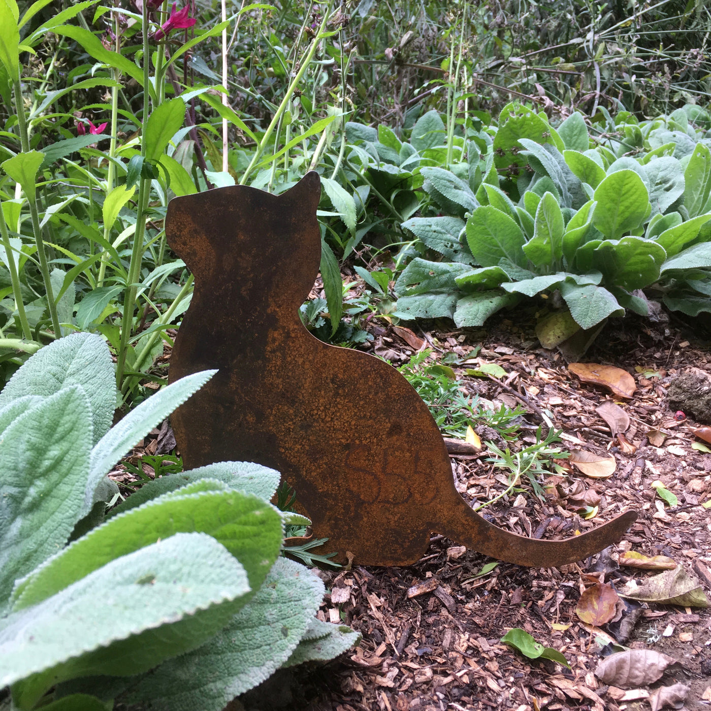Puriri Lane | Cat | Corten Steel