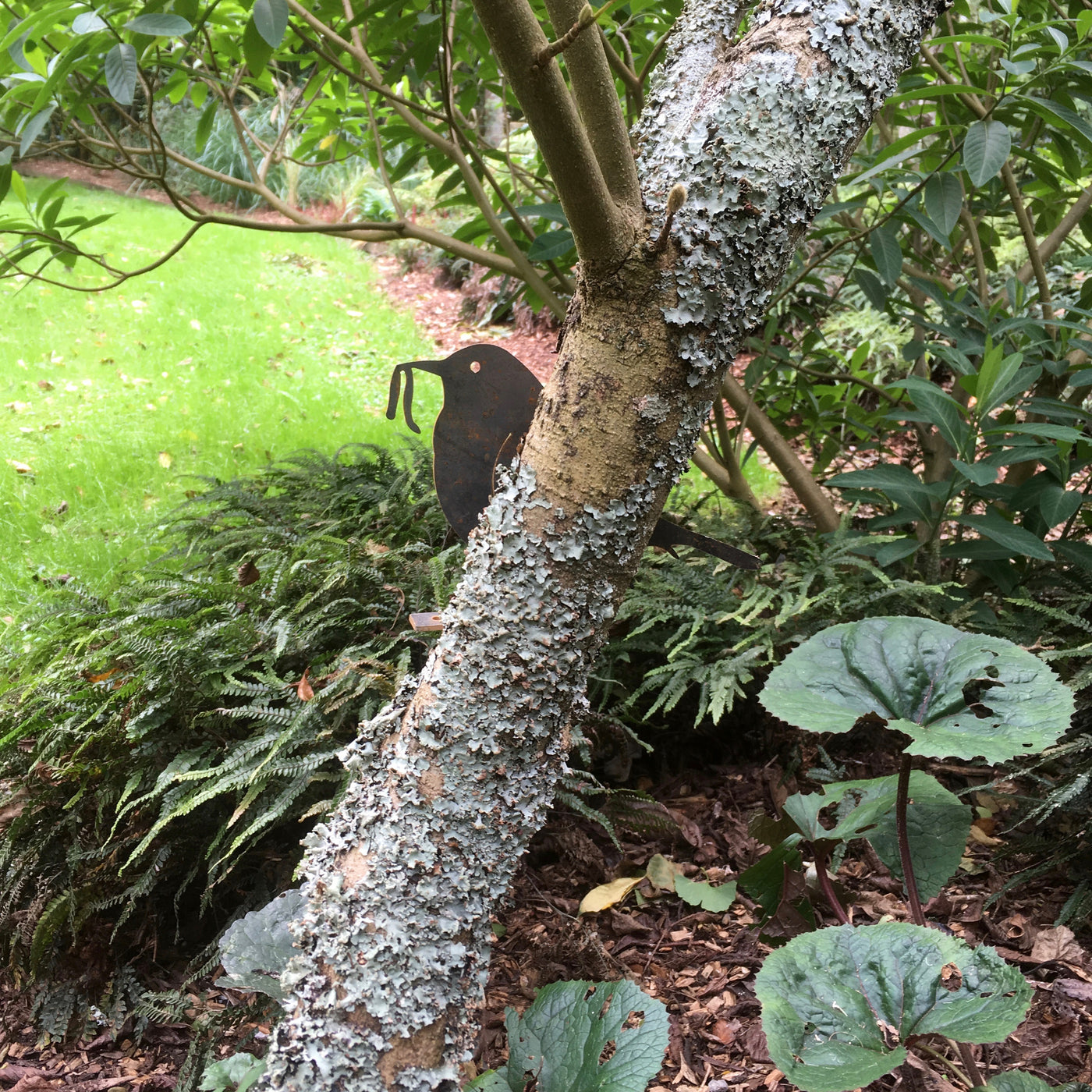 Puriri Lane | Early Bird Gets The Worm