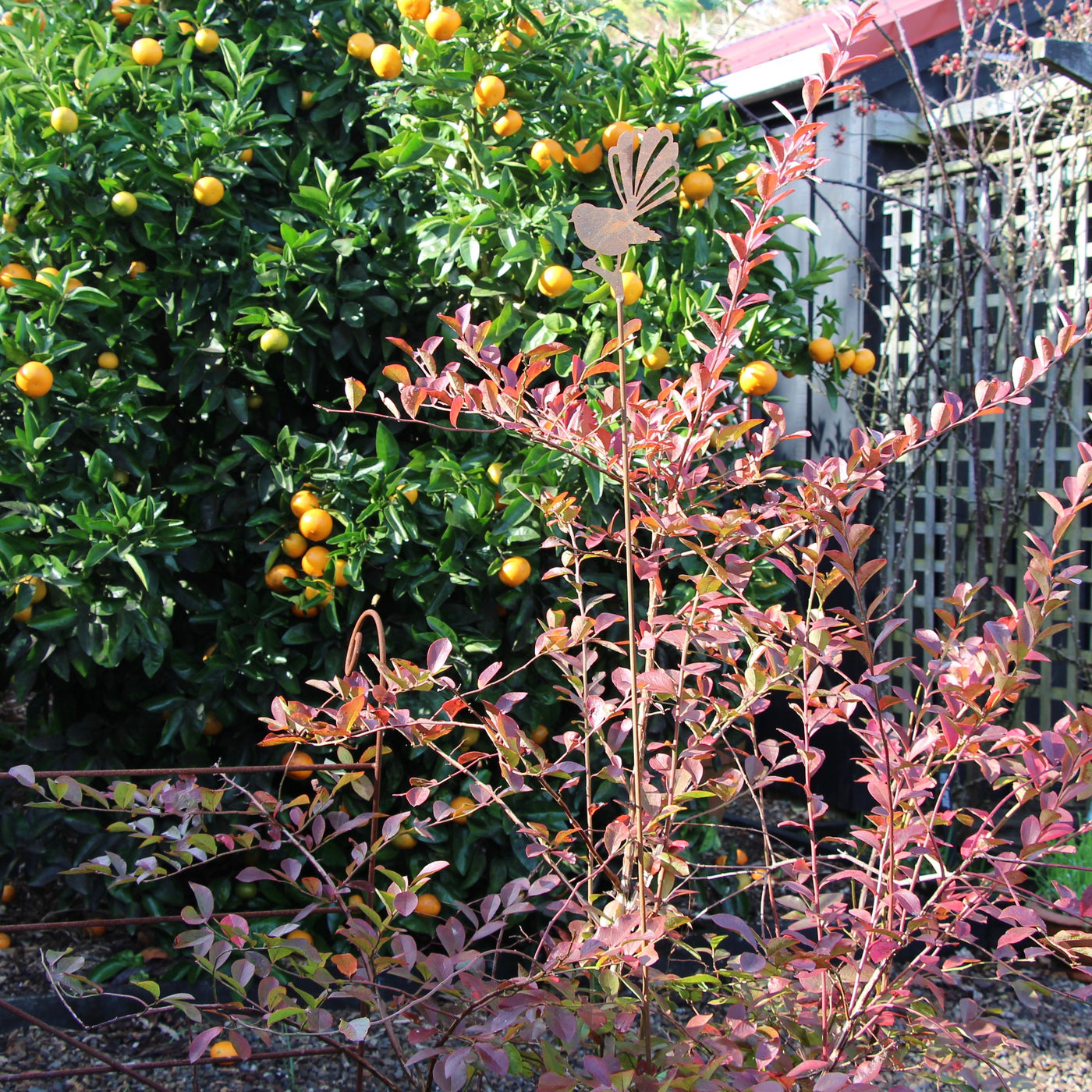 Puriri Lane | Fantail | Garden Stake