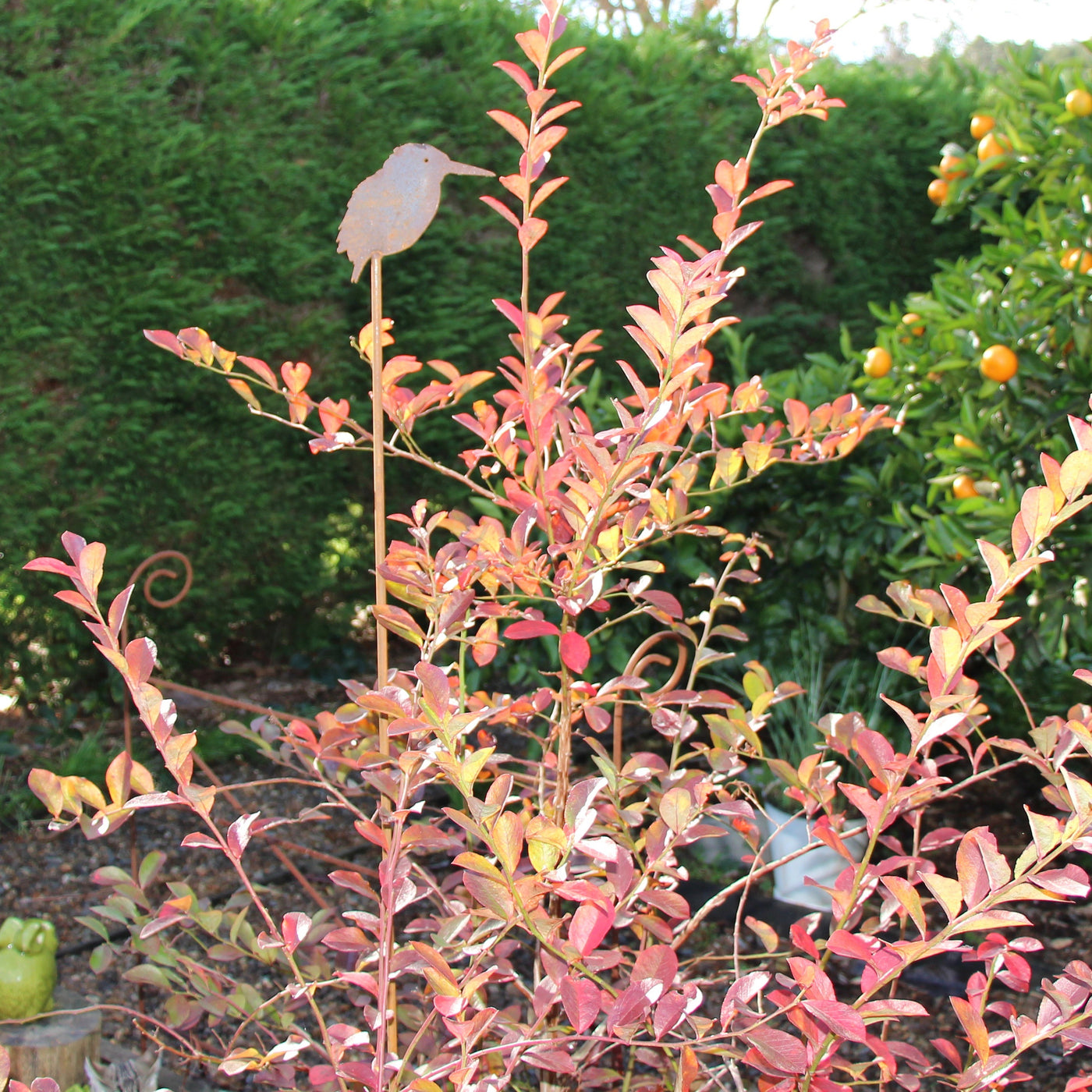 Puriri Lane | Kingfisher | Garden Stake