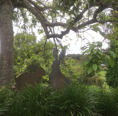 Puriri Lane | Mr & Mrs Hare