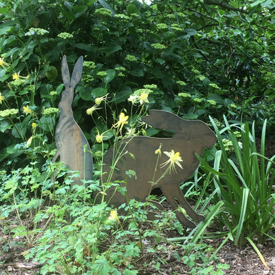 Puriri Lane | Mr & Mrs Hare