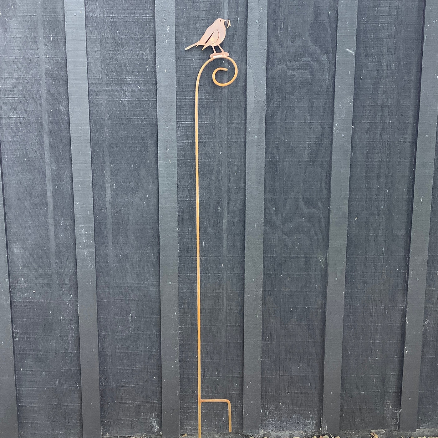 Puriri Lane | Early Bird Gets The Worm | Lantern Holder