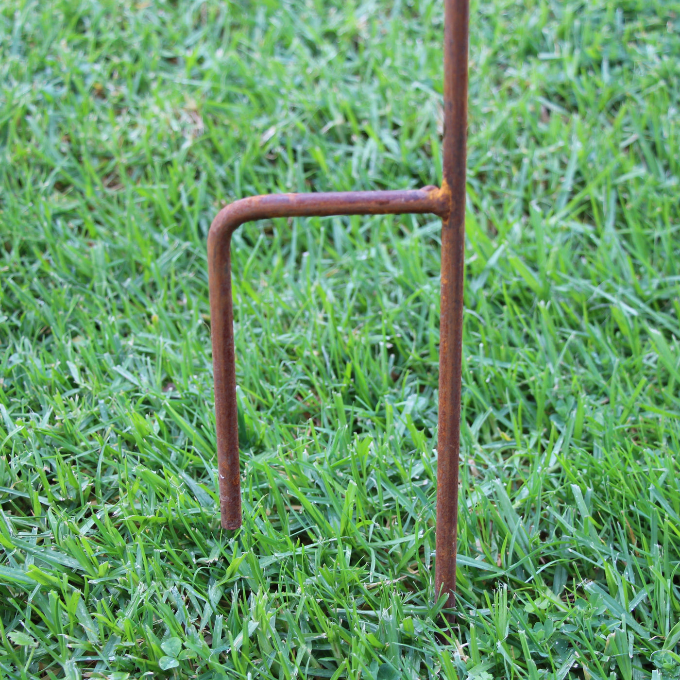 Puriri Lane | Fantail | Lantern Holder