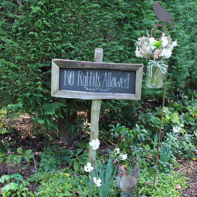 Puriri Lane | Tui Lantern Holder