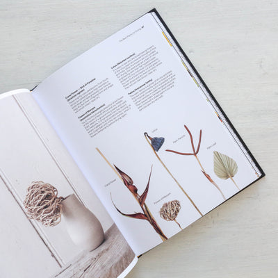 Puriri Lane | Cut & Dry | Carolyn Dunster