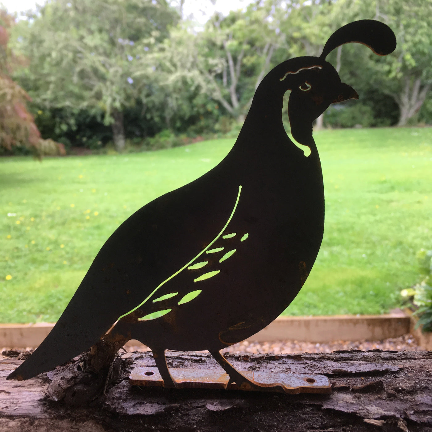 Puriri Lane | Quail Family | Flat Bars