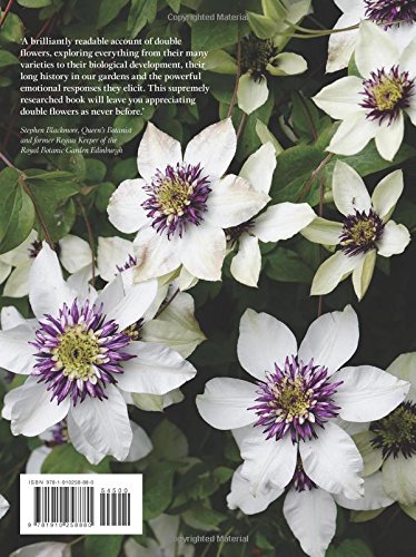 Puriri Lane | Double Flowers | Nicola Ferguson