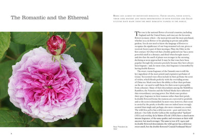 Puriri Lane | Double Flowers | Nicola Ferguson