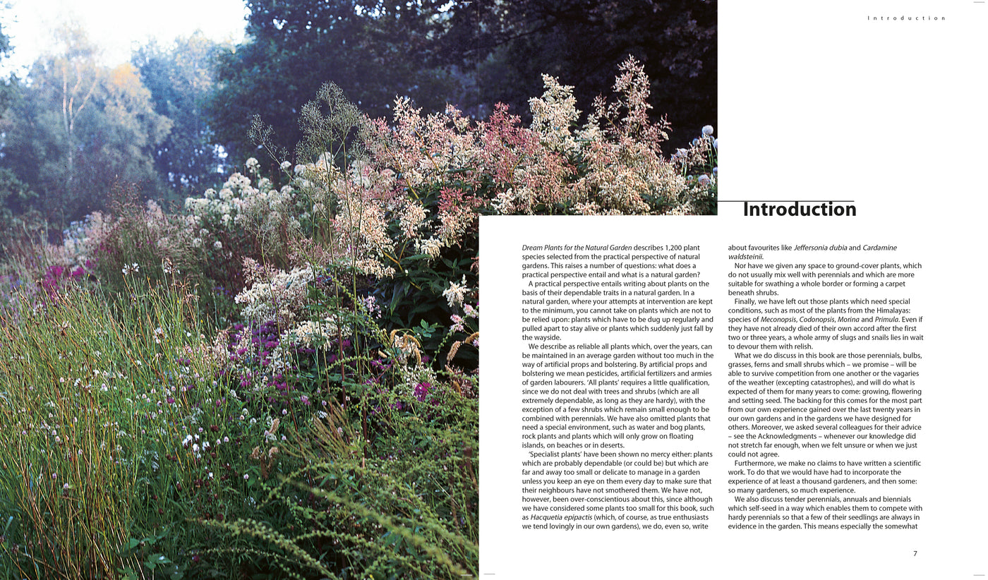 Puriri Lane Dream Plants For The Natural Garden | Piet Odoulf