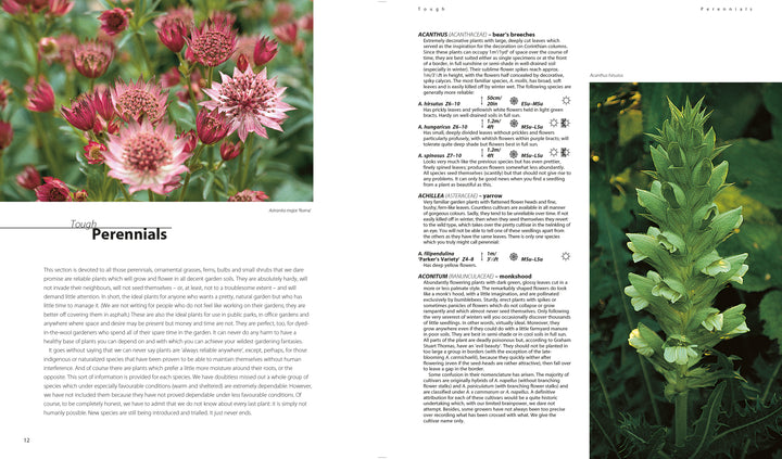 Dream Plants For The Natural Garden