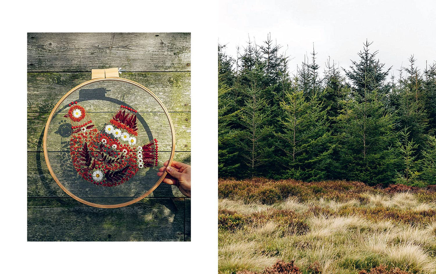 Puriri Lane | Dried Flower Embroidery | Olga Prinku