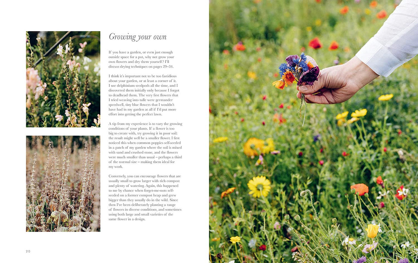 Puriri Lane | Dried Flower Embroidery | Olga Prinku