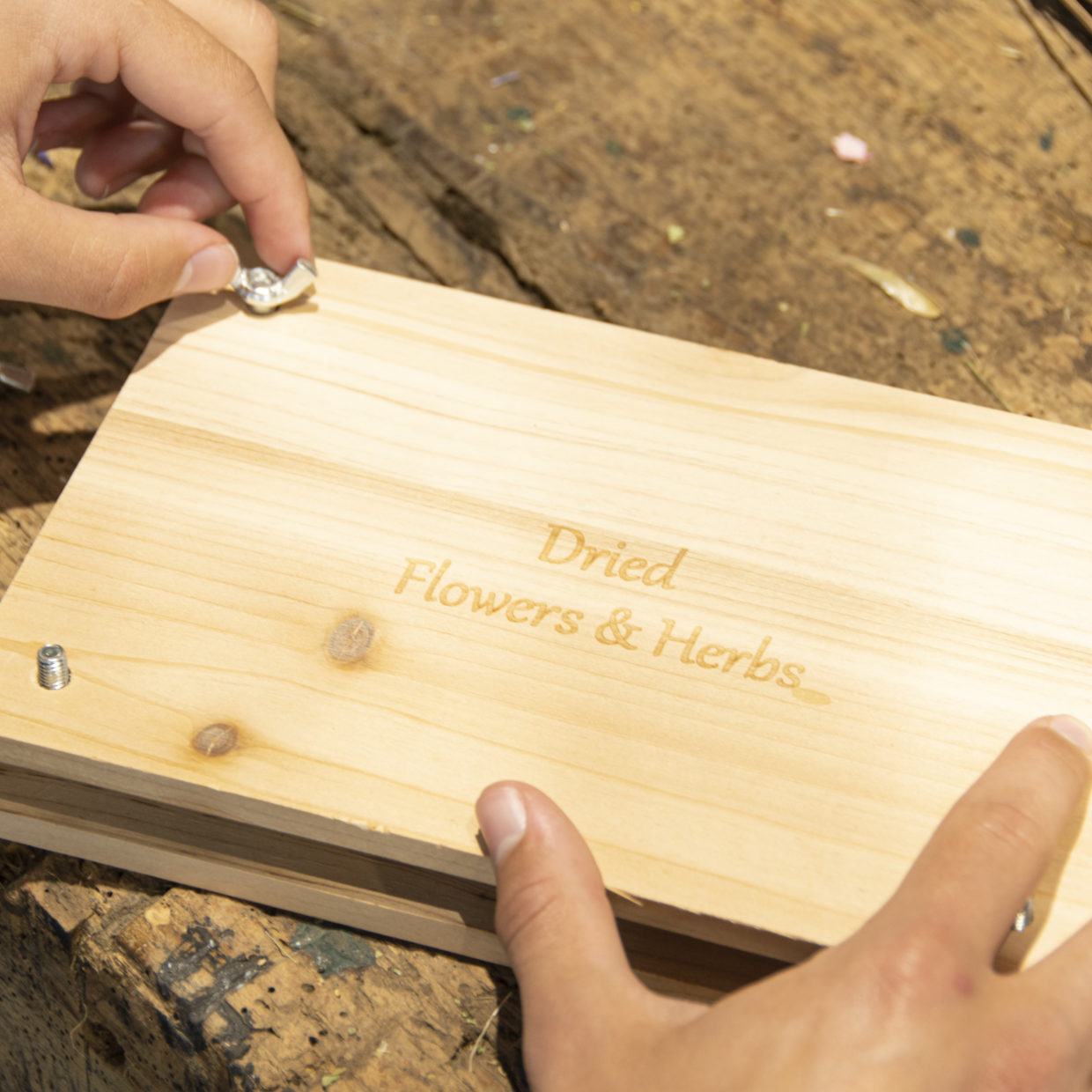 Puriri Lane | Flower & Herb Press