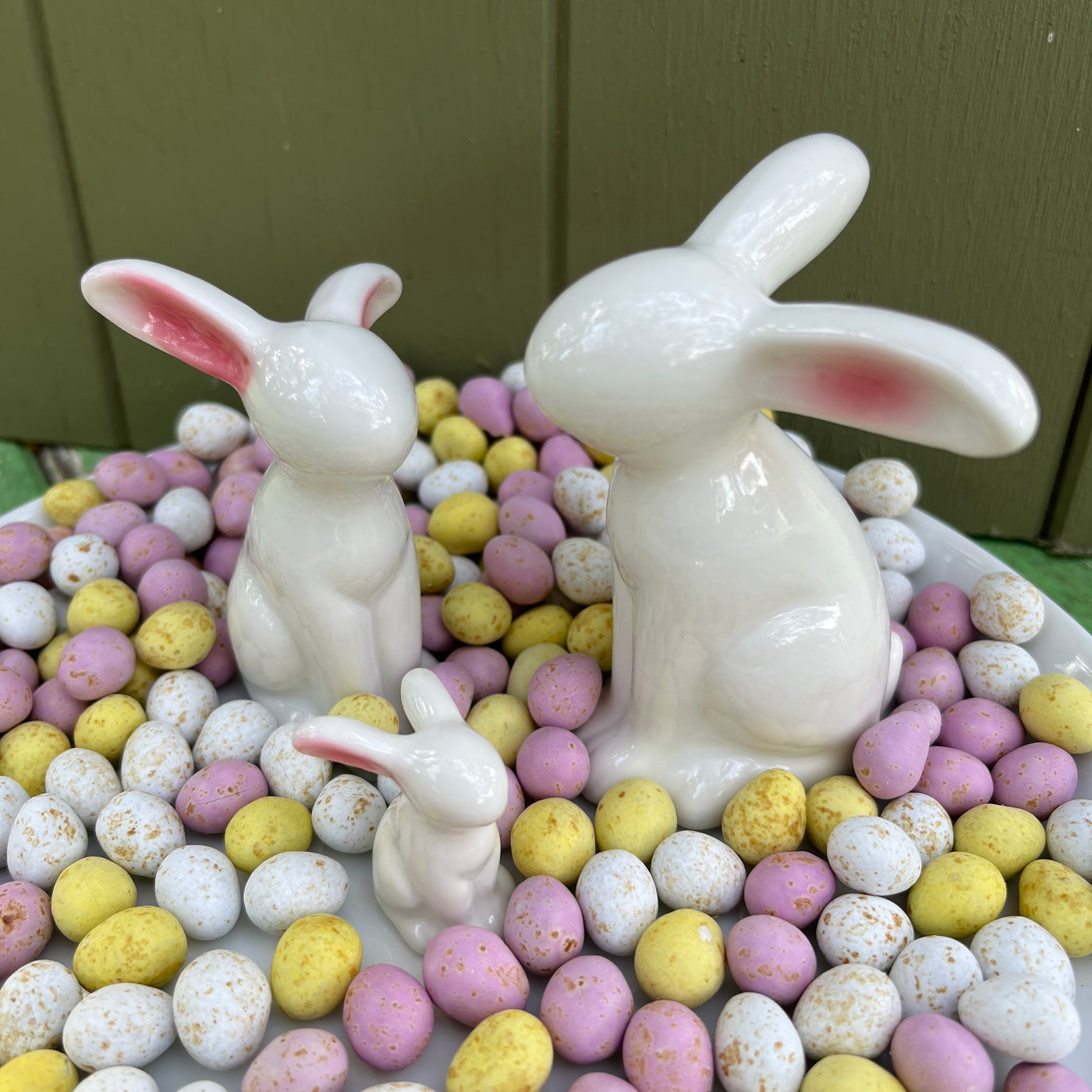 Puriri Lane | Rabbit Family