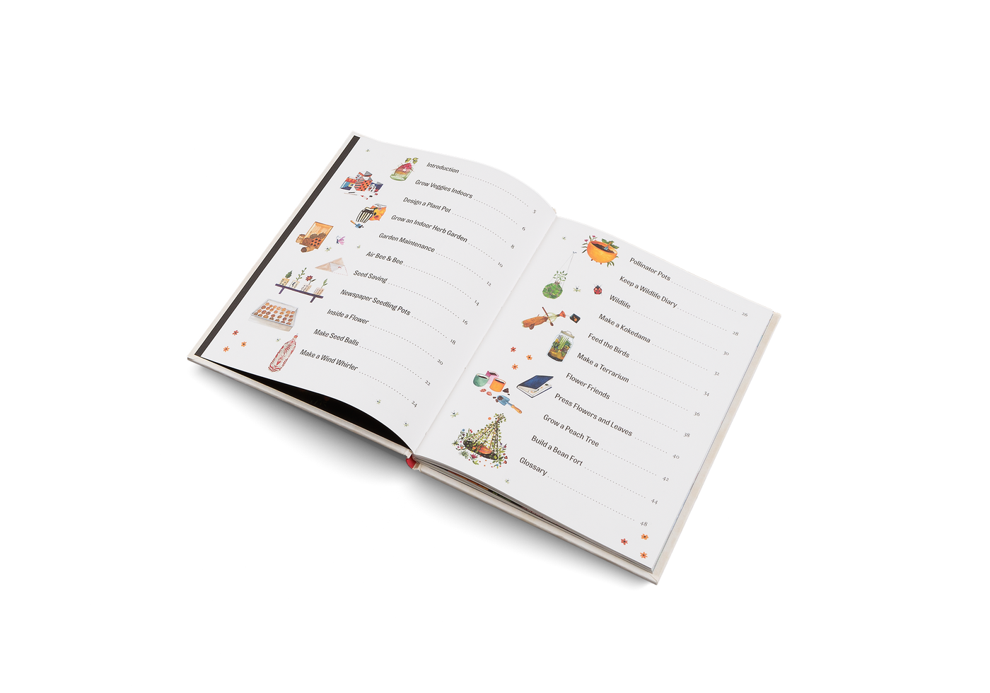 Puriri Lane | Easy Peasy Gardening For Kids