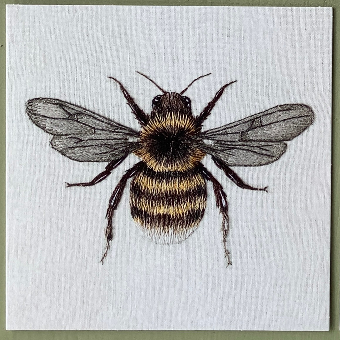 Puriri Lane | Bee | Emillie Ferris