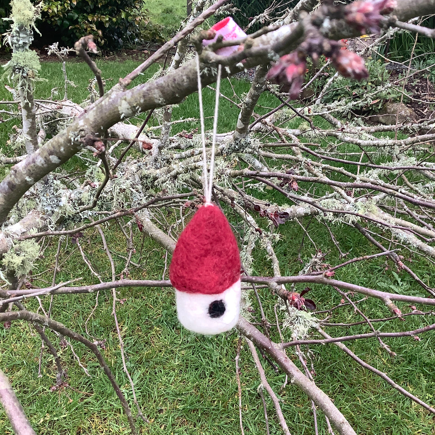 Puriri Lane | Éng Gry & Sif | Felted Birdhouse