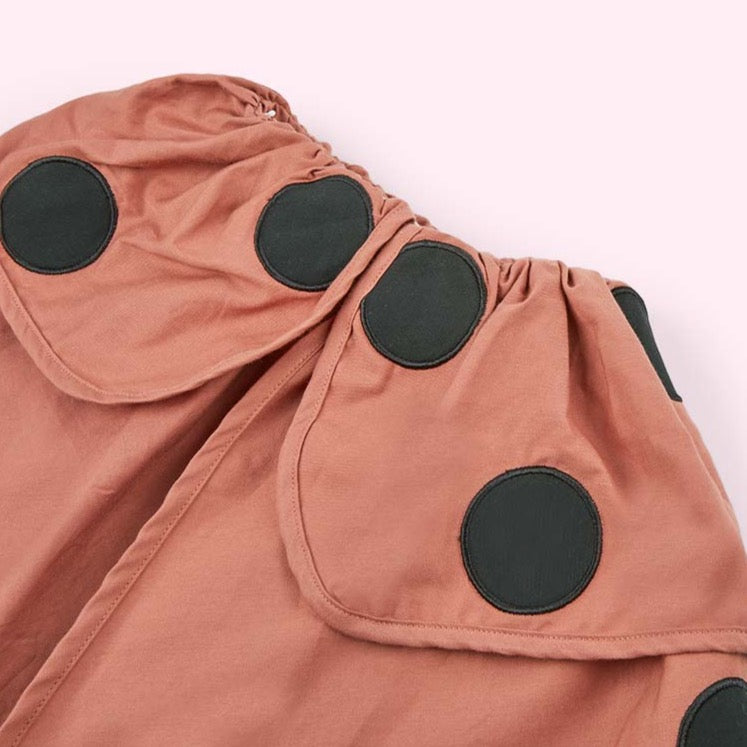 Puriri Lane | Fabelab | Ladybug | DressUp 