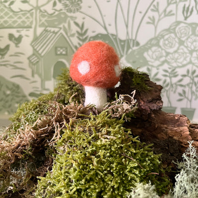 Puriri Lane | Felted Toadstool | Coral