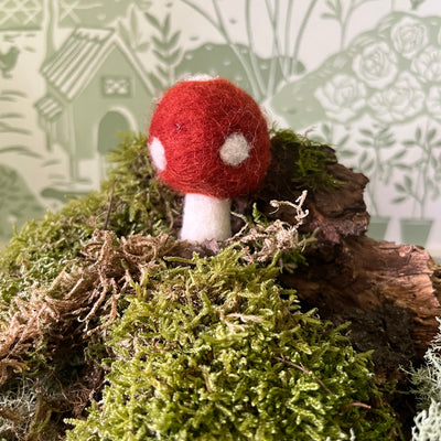 Puriri Lane | Felted Toadstool | Tomato Red