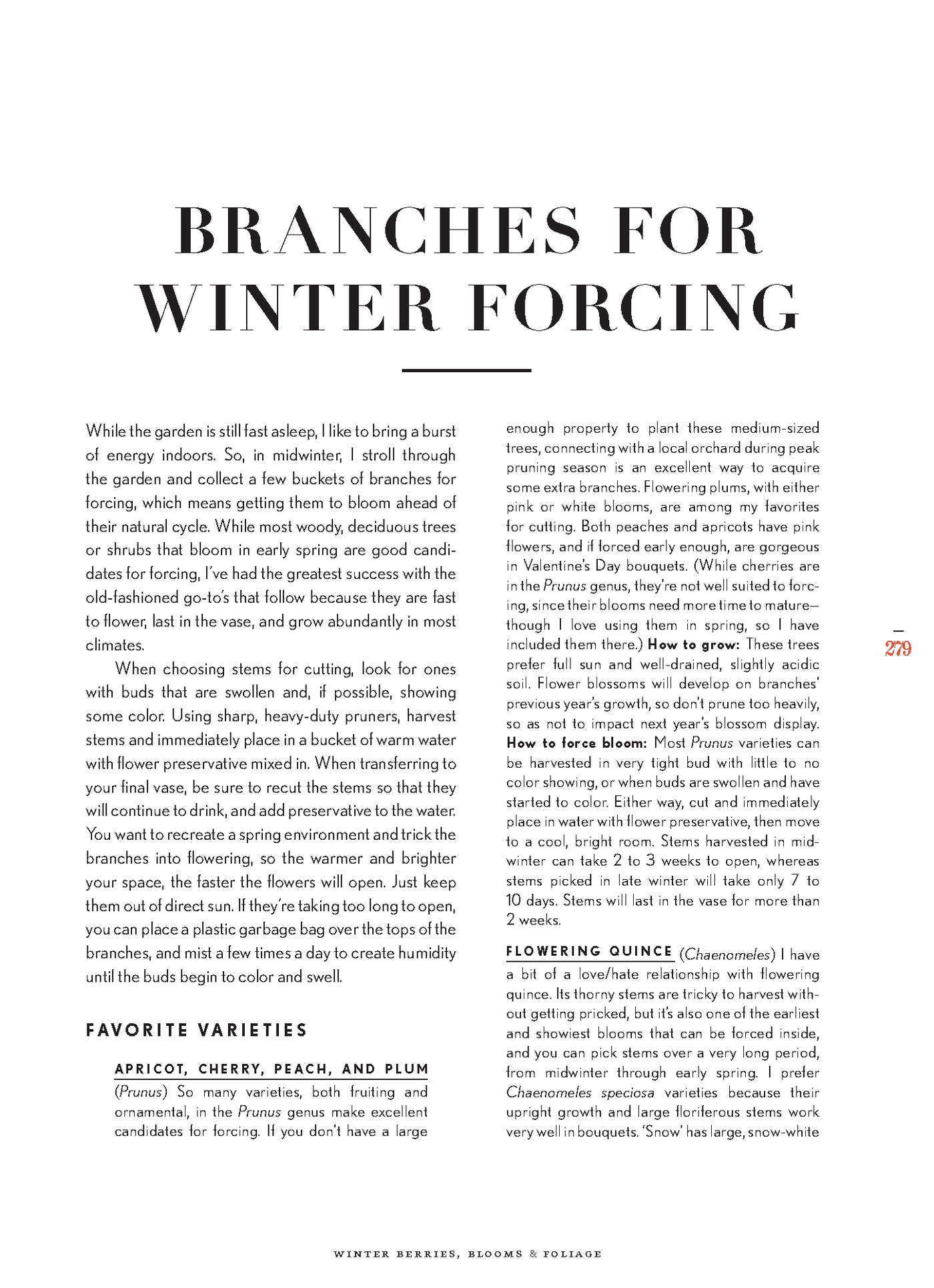 riri Lane | Floret Farm's | Cut Flower Garden | Erin Benzakein