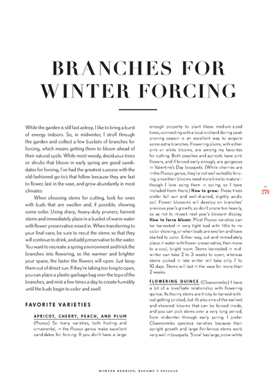 riri Lane | Floret Farm's | Cut Flower Garden | Erin Benzakein