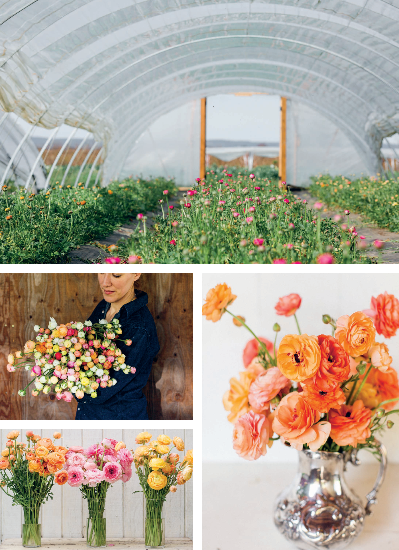 Floret Farms Cut Flower Garden | Erin Benzakein