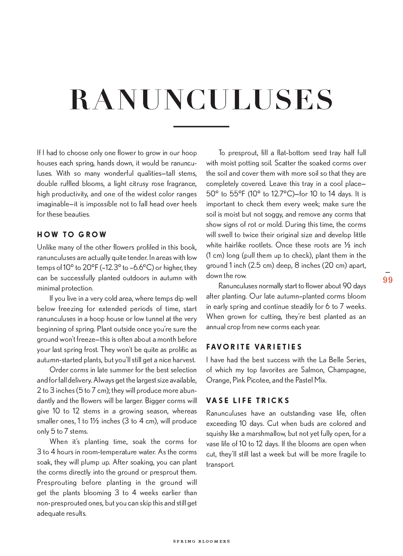 riri Lane | Floret Farm's | Cut Flower Garden | Erin Benzakein