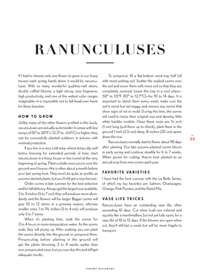 riri Lane | Floret Farm's | Cut Flower Garden | Erin Benzakein