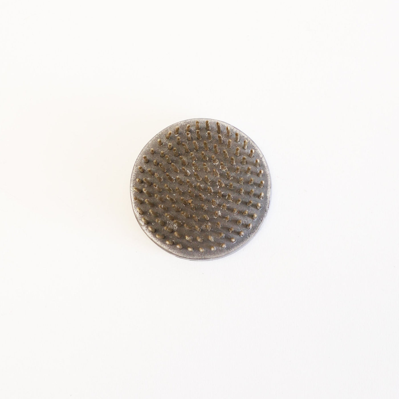 Puriri Lane | Flower Frog | Small