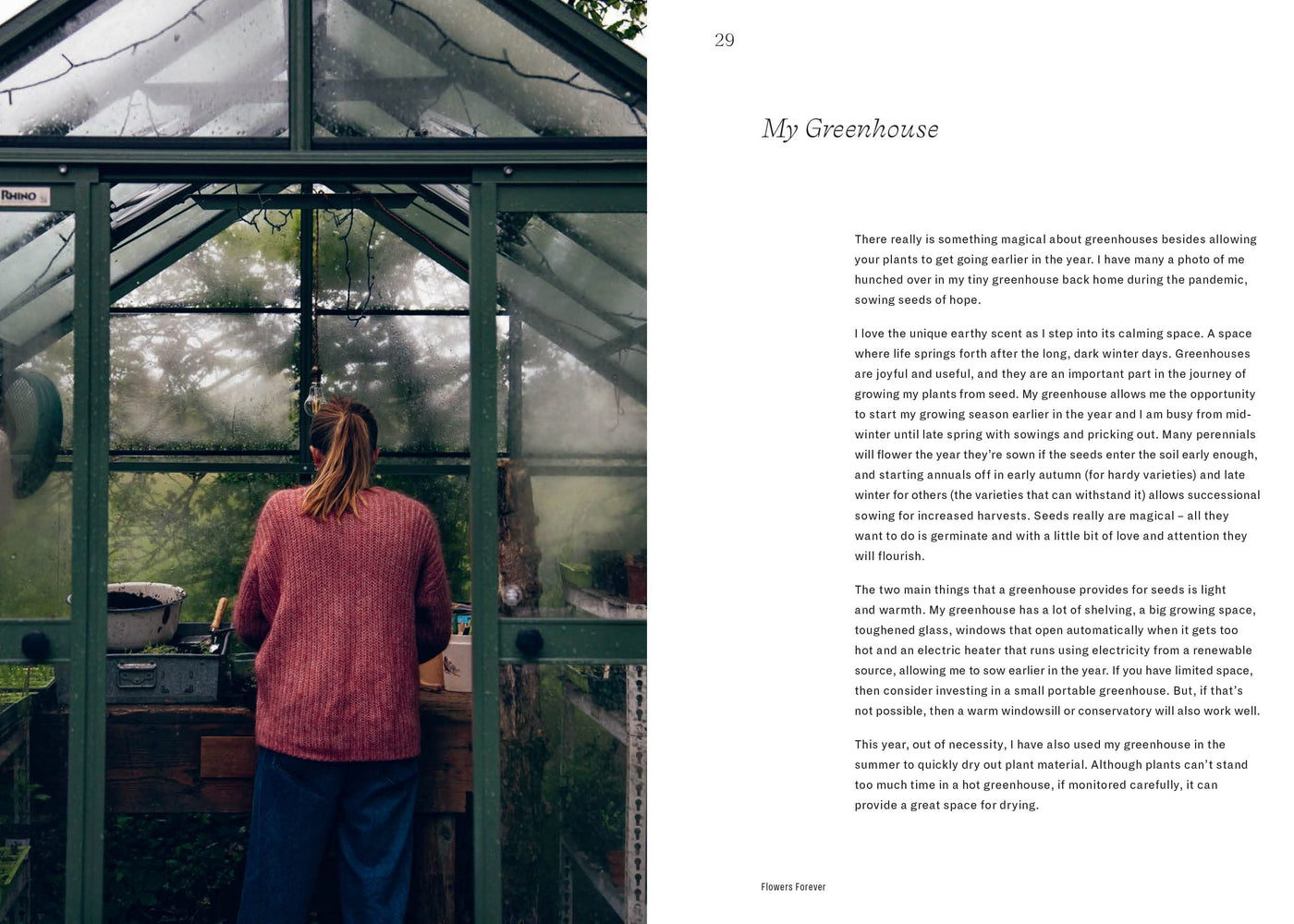 Puriri Lane | Flowers Forever | Bex Partridge