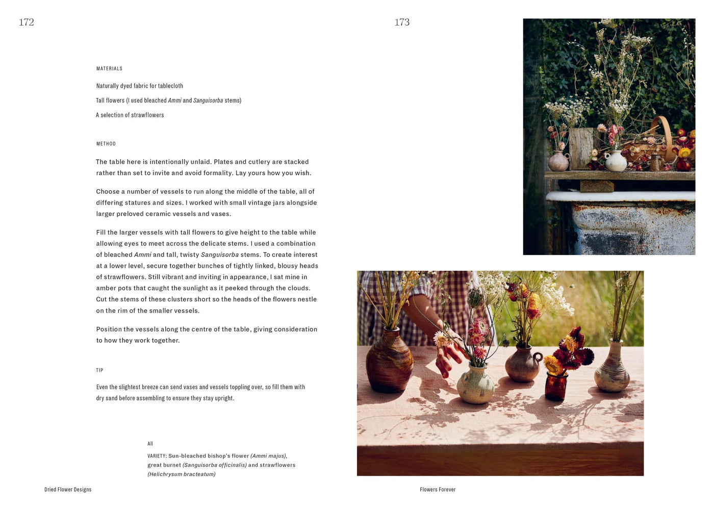 Puriri Lane | Flowers Forever | Bex Partridge