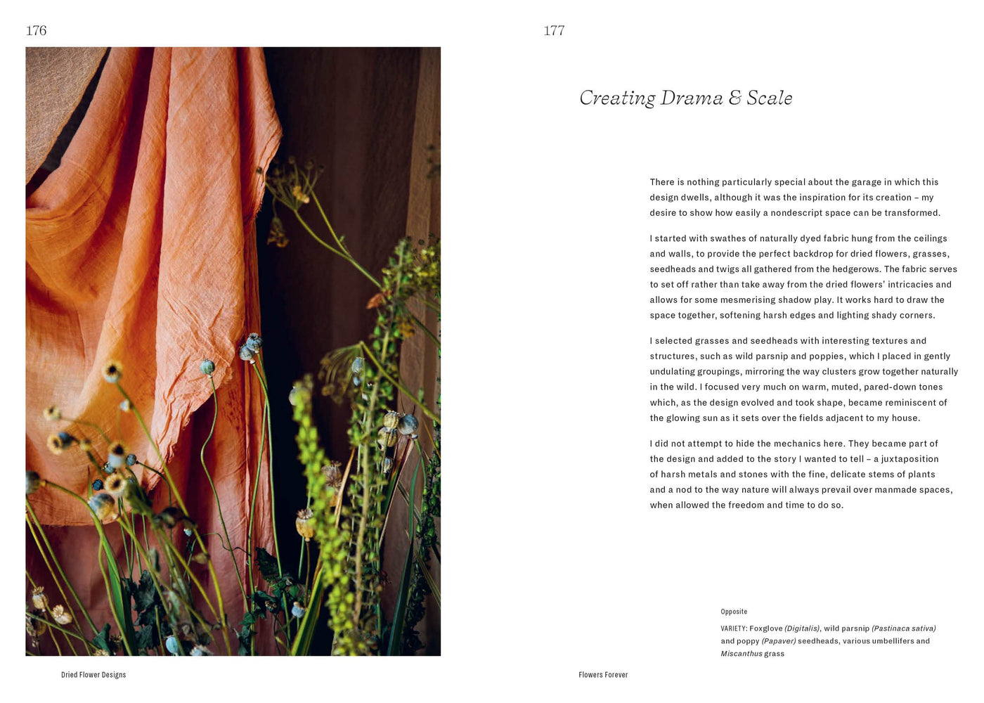 Puriri Lane | Flowers Forever | Bex Partridge