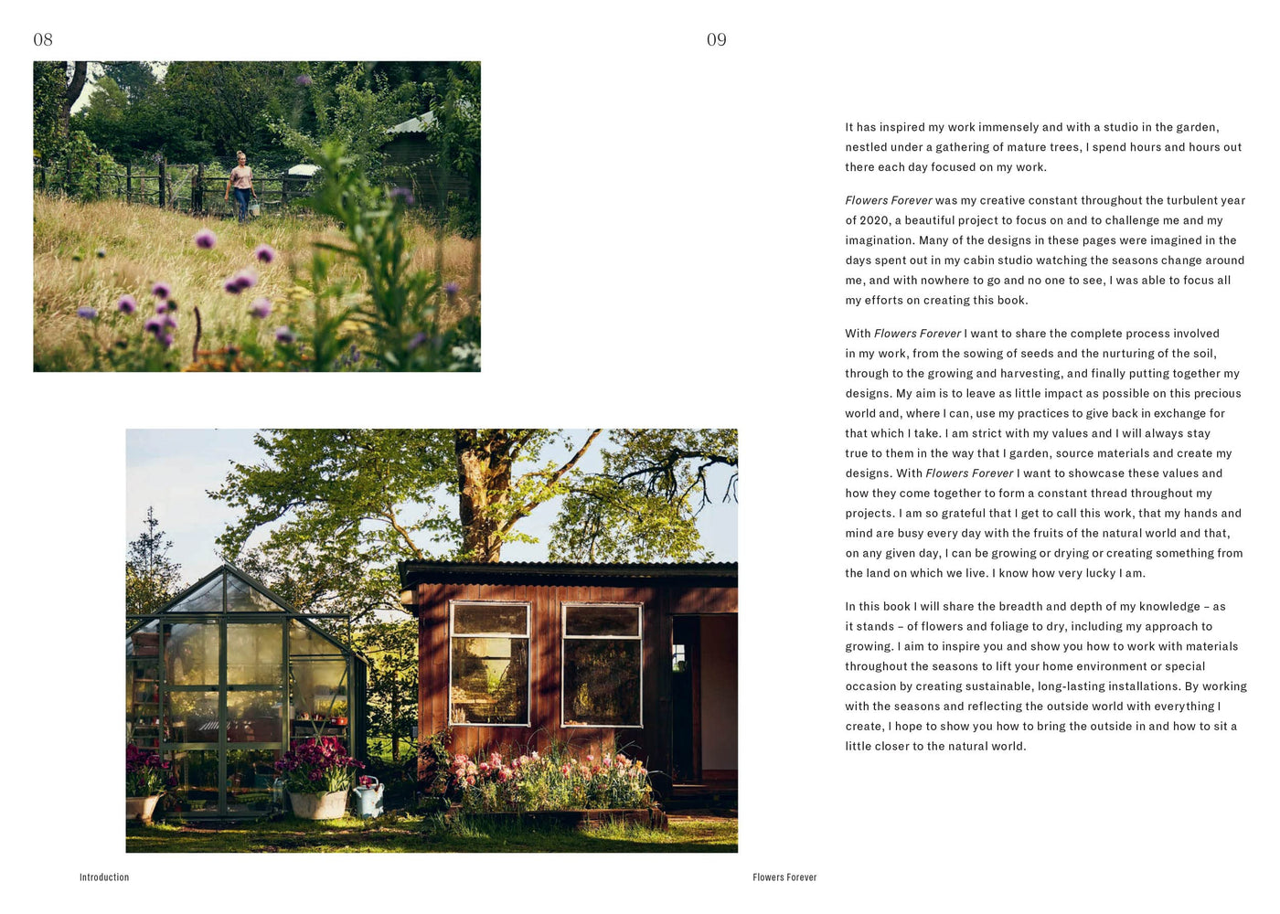 Puriri Lane | Flowers Forever | Bex Partridge