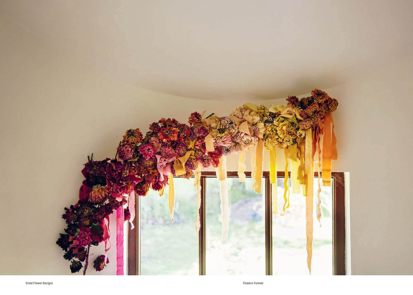 Puriri Lane | Flowers Forever | Bex Partridge