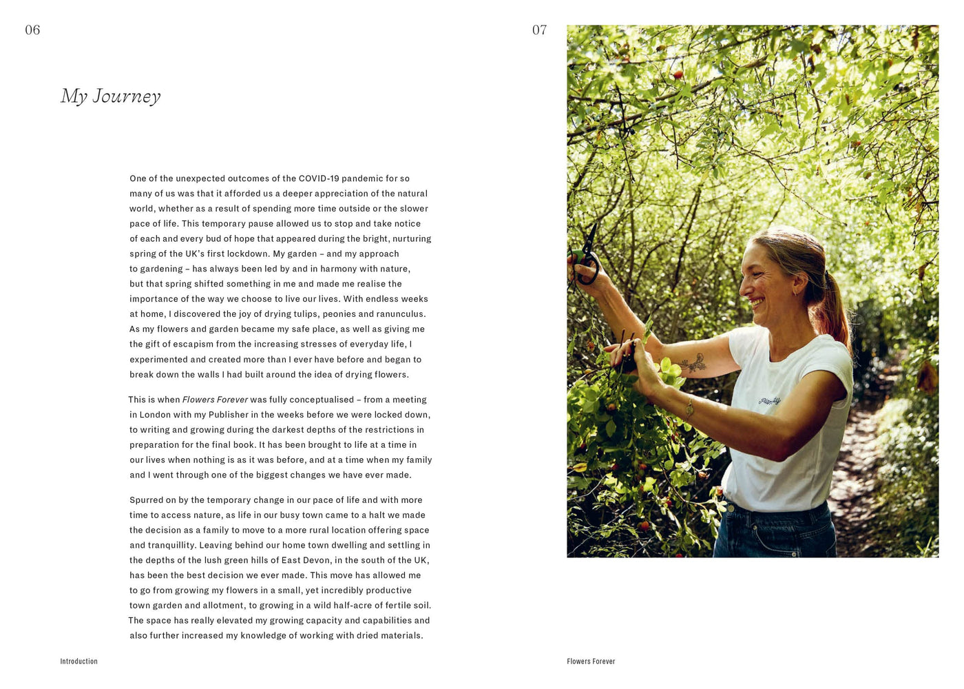 Puriri Lane | Flowers Forever | Bex Partridge